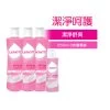 Lactacyd All-Day Care Feminine Wash 250ml X 3pcs -Personal Care Products 247890 lactacyd all day care feminine wash 250ml x 3pcs 1 800Wx800H